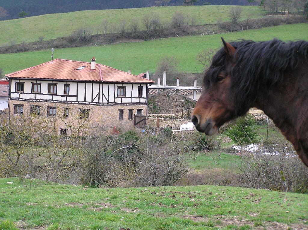 Affittacamere Neithea Boveda  Esterno foto
